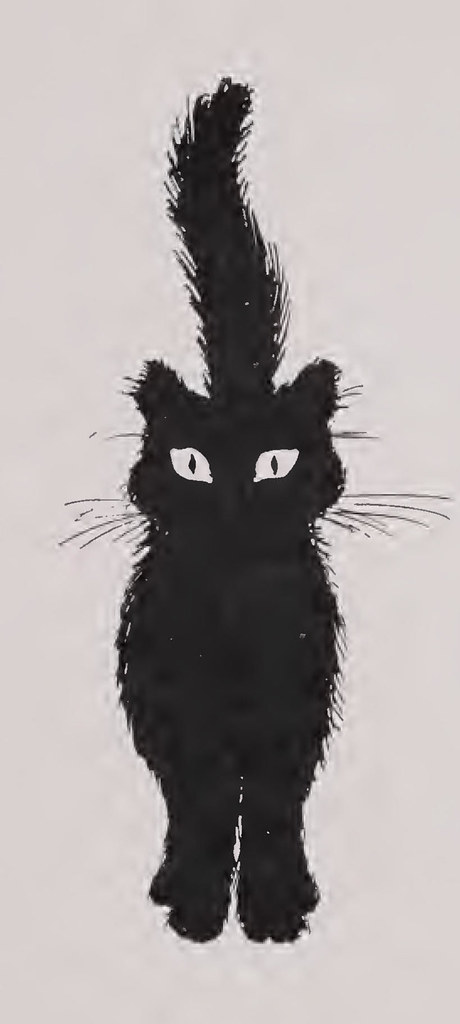 A Day in the Life of Our Quality Control Cat